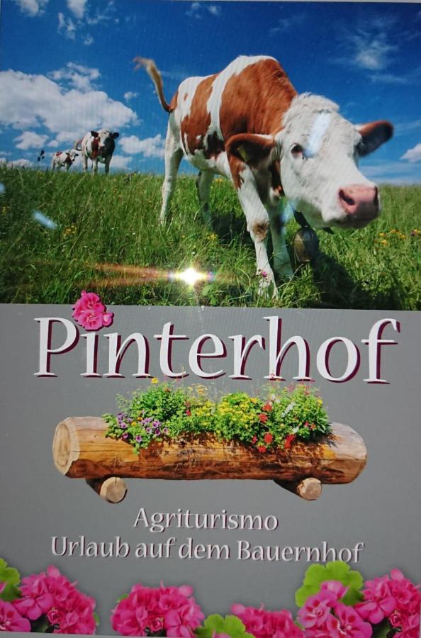Pinterhof Villa San Vigilio Di Marebbe Eksteriør bilde